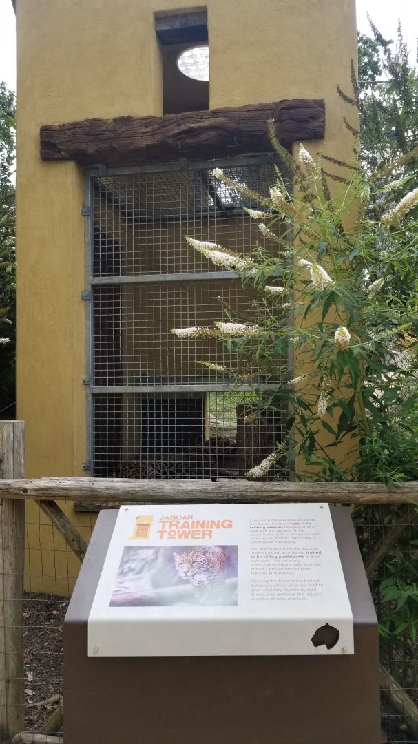 Elmwood Park - Trail of the Jaguar, Jaguar exhibit