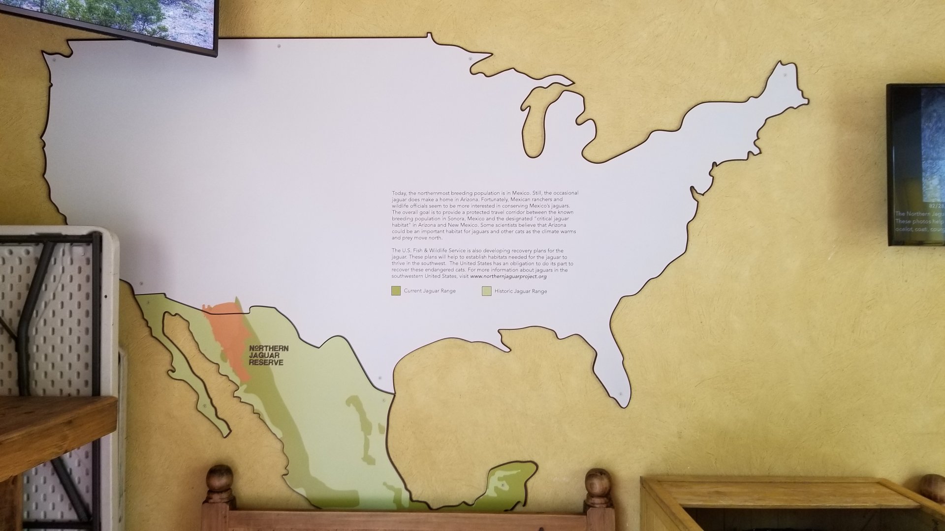 Elmwood Park - Trail of the Jaguar, Northern Jaguar signage