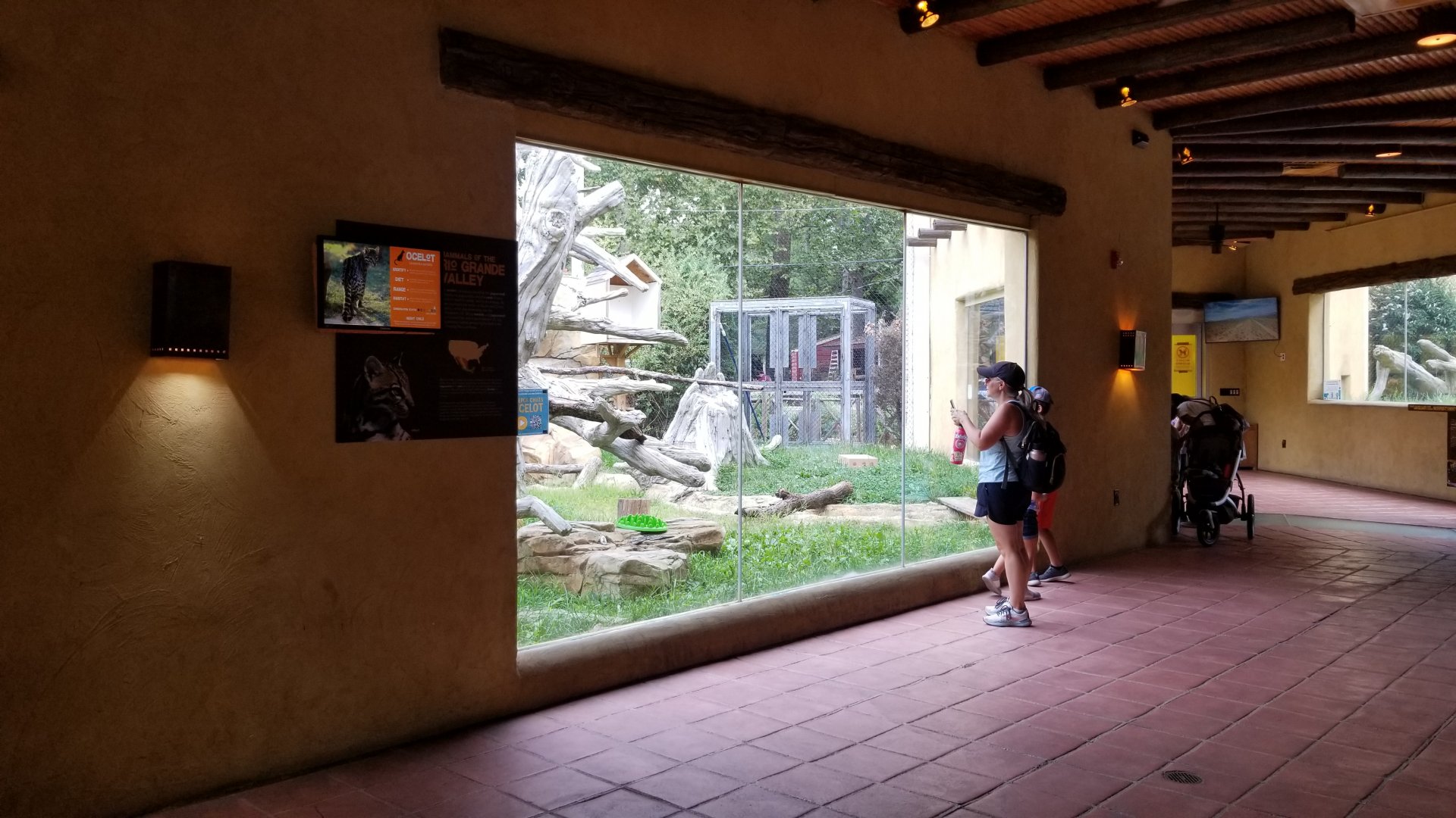 Elmwood Park - Trail of the Jaguar, Ocelot