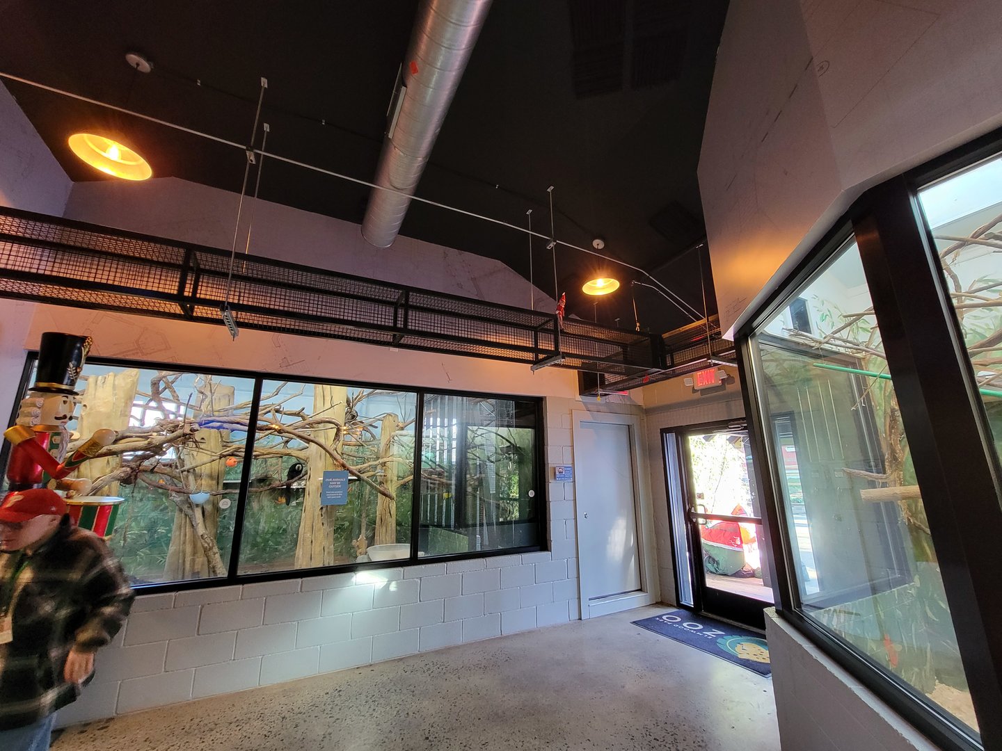 Elmwood Park - White-faced saki indoors, entrance door on right, overhead pathways