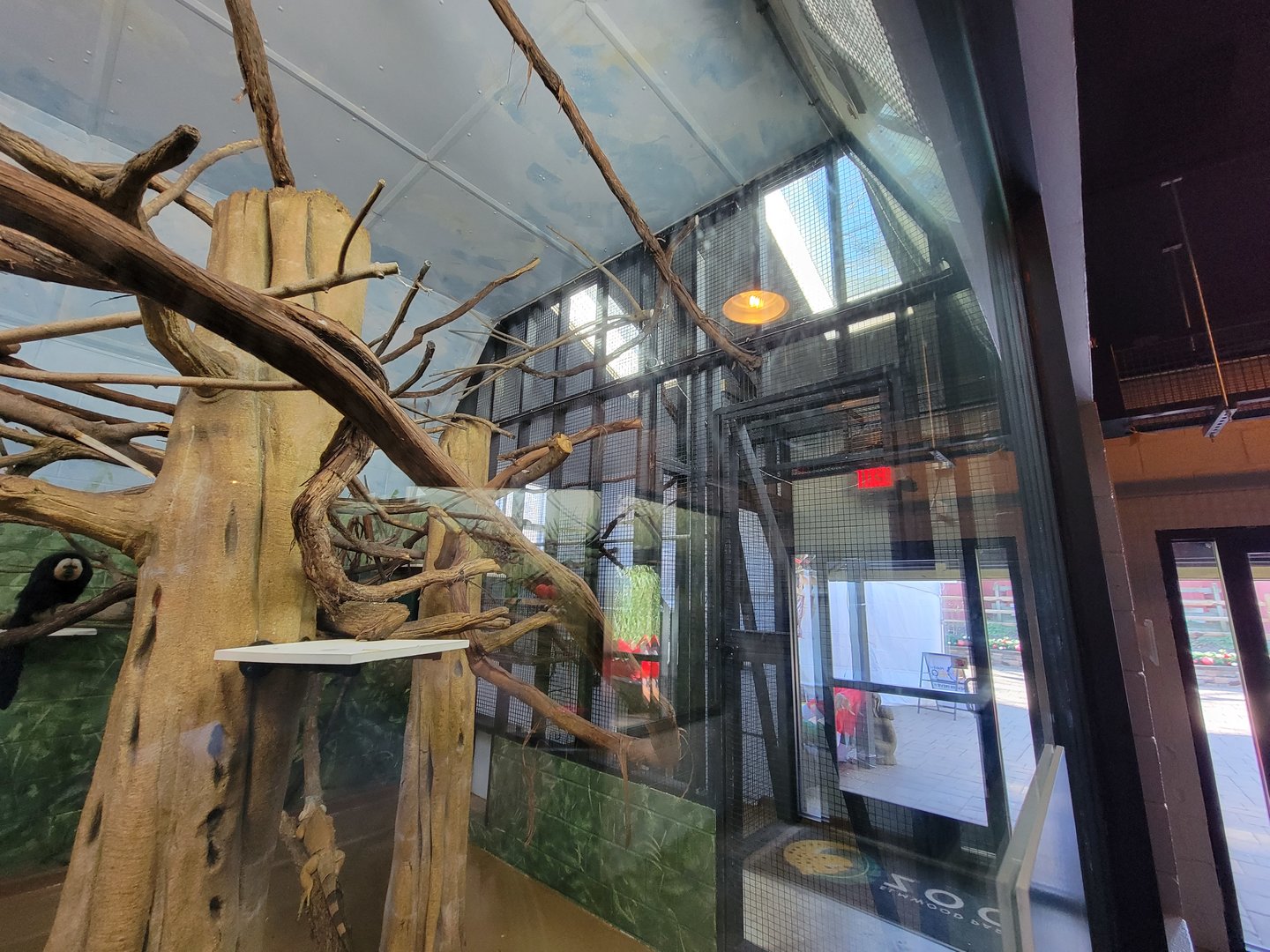 Elmwood Park - White-faced saki indoors, overhead pathways visible