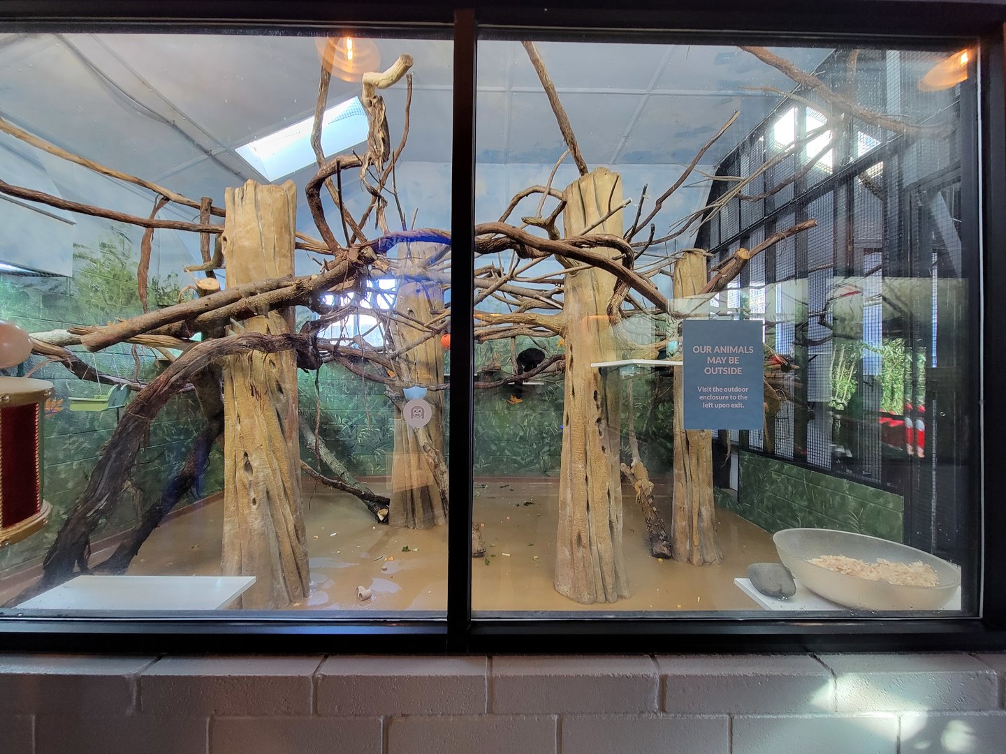 Elmwood Park - White-faced saki indoors