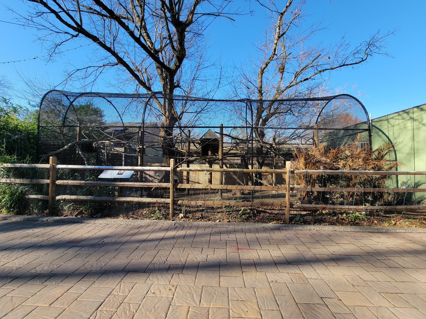 Elmwood Park - White-faced saki outdoor area, Patagonian mara