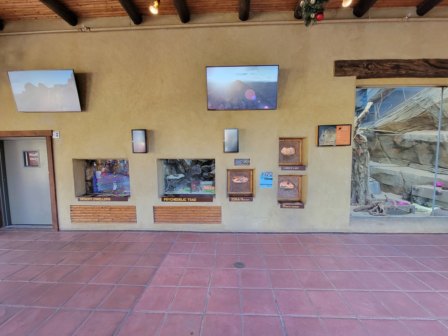 Elmwood Park - White-throated woodrat exhibits