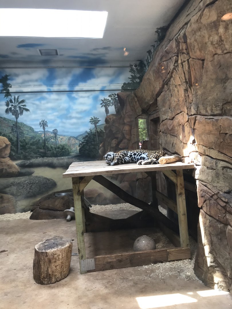 Elmwood Park Zoo-Trail of the Jaguar Building-Inka