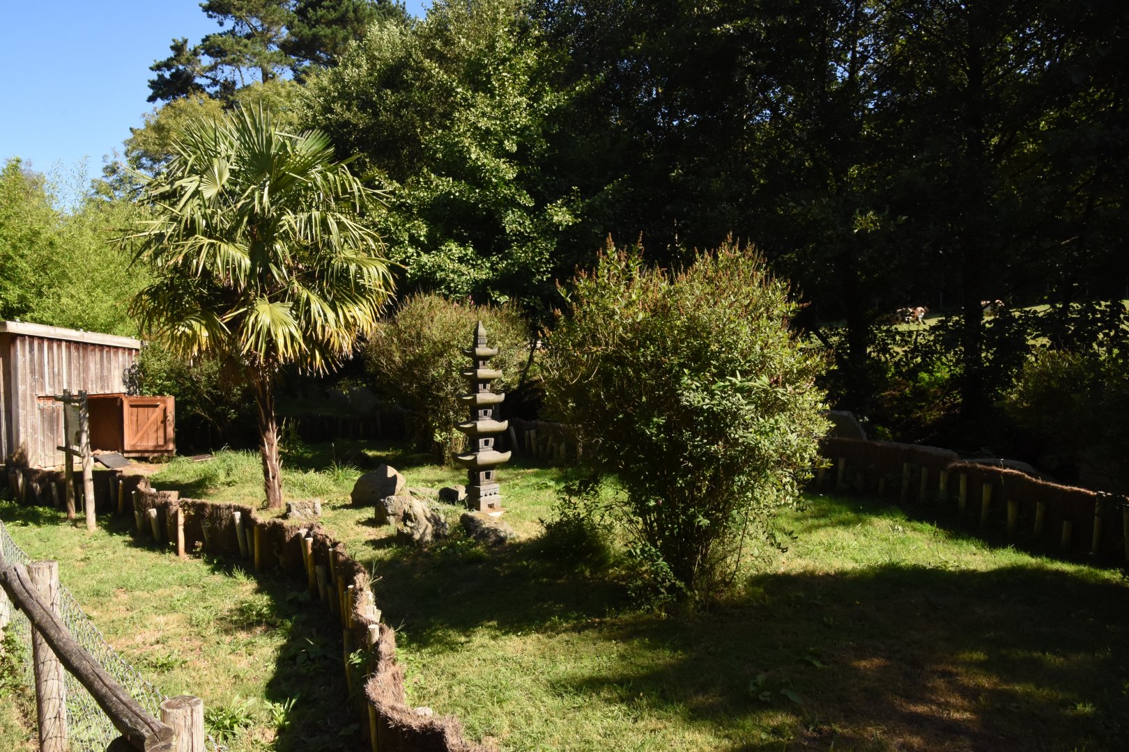 Elongated Tortoise enclosure