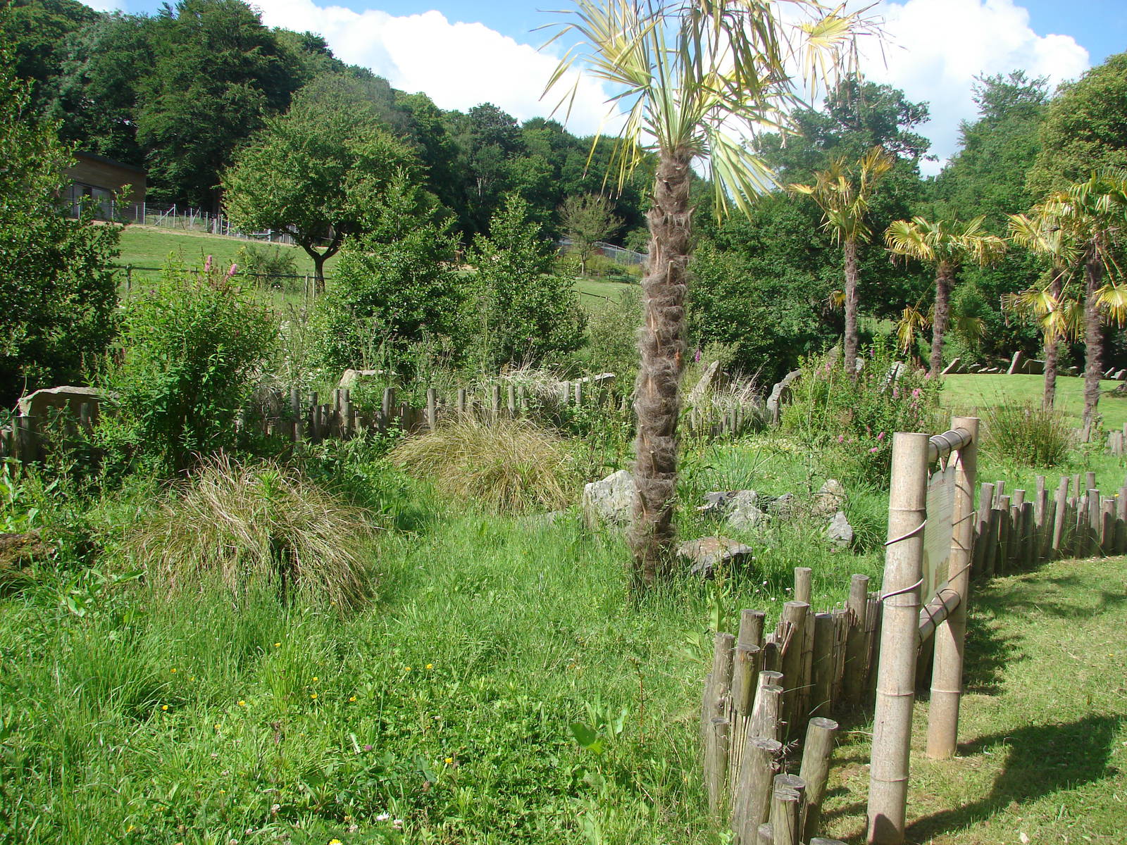 Elongated tortoise exhibit
