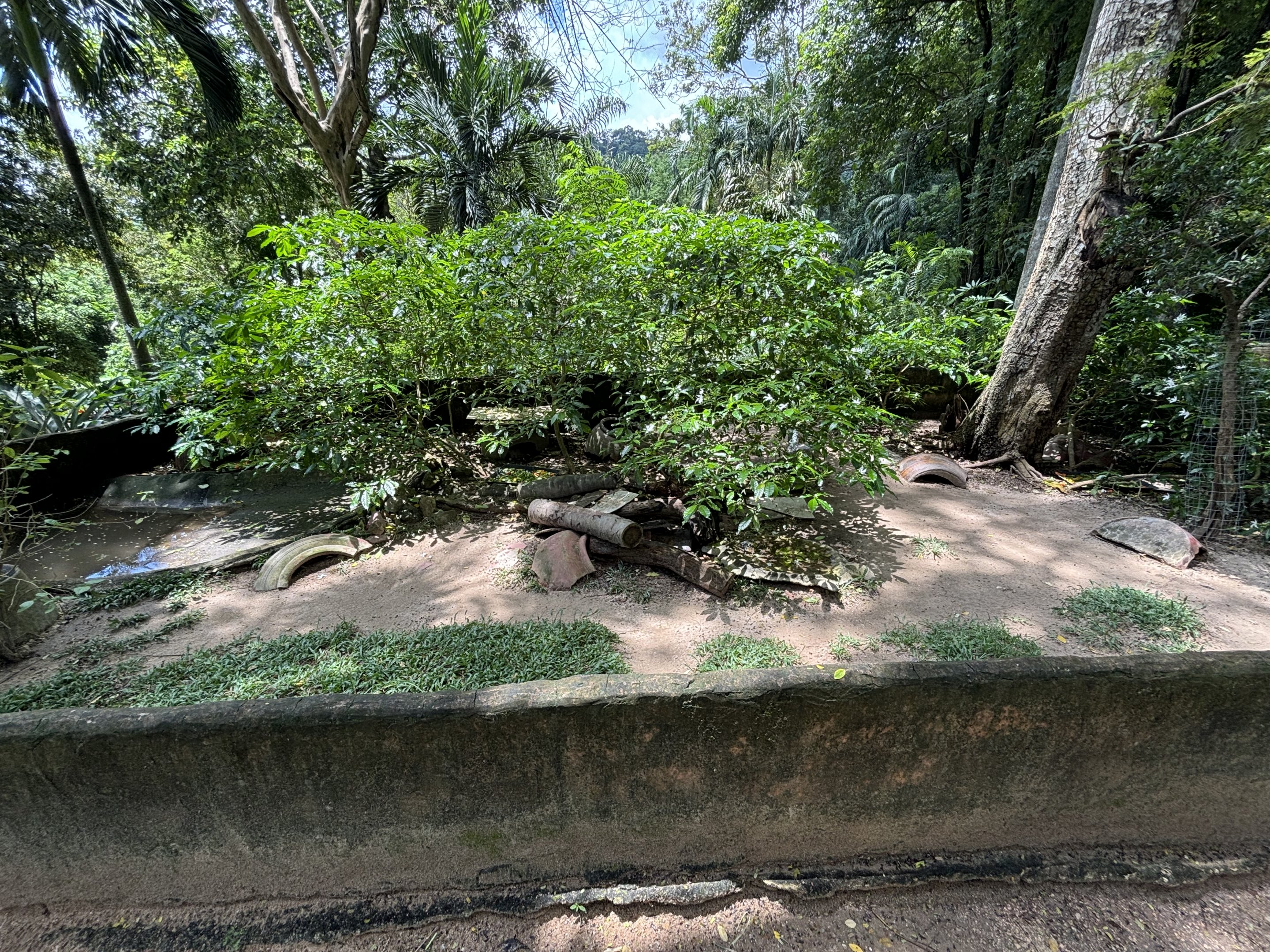 Elongated Tortoise Exhibit