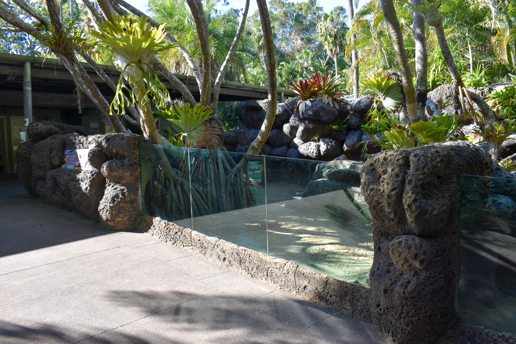 Elongated Tortoise/Rhino Iguana Enclosure