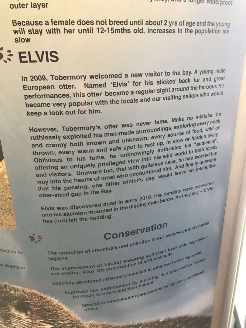 Elvis the otter signage