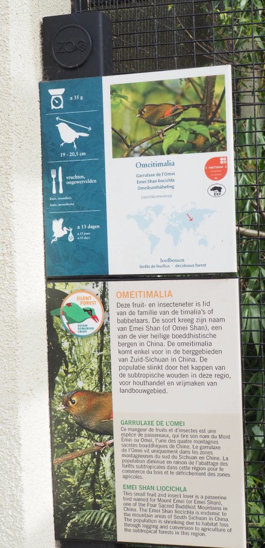 Emei Shan Liocichla signage, 2022-03-16