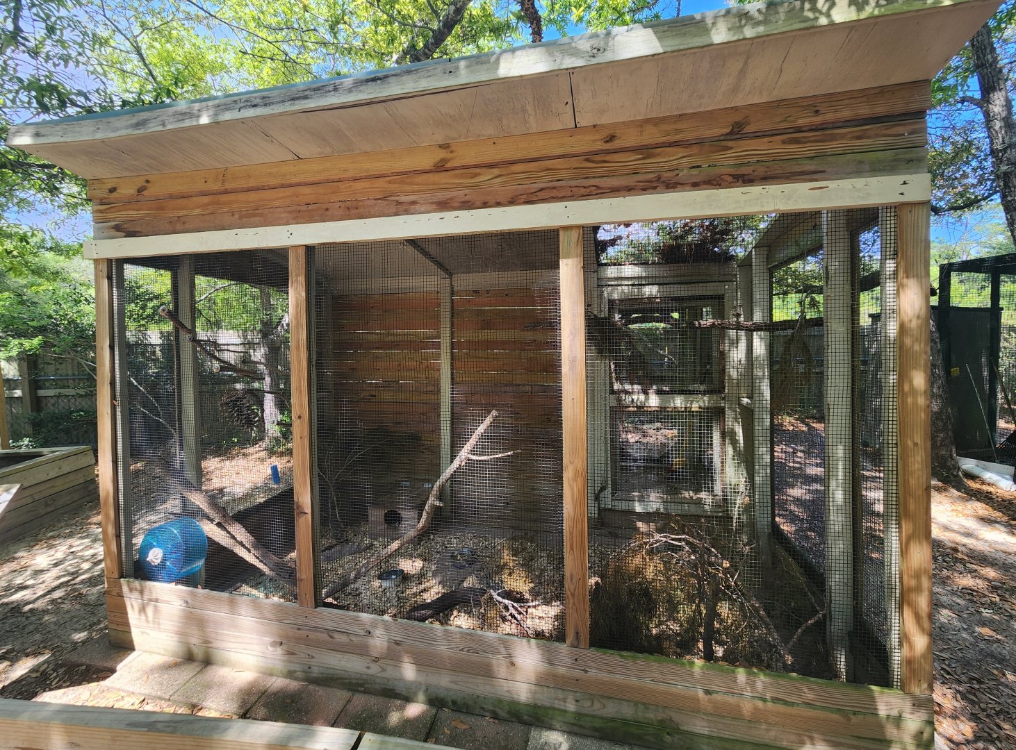 Emerald Coast Wildlife Refuge - Squirrel exhibit