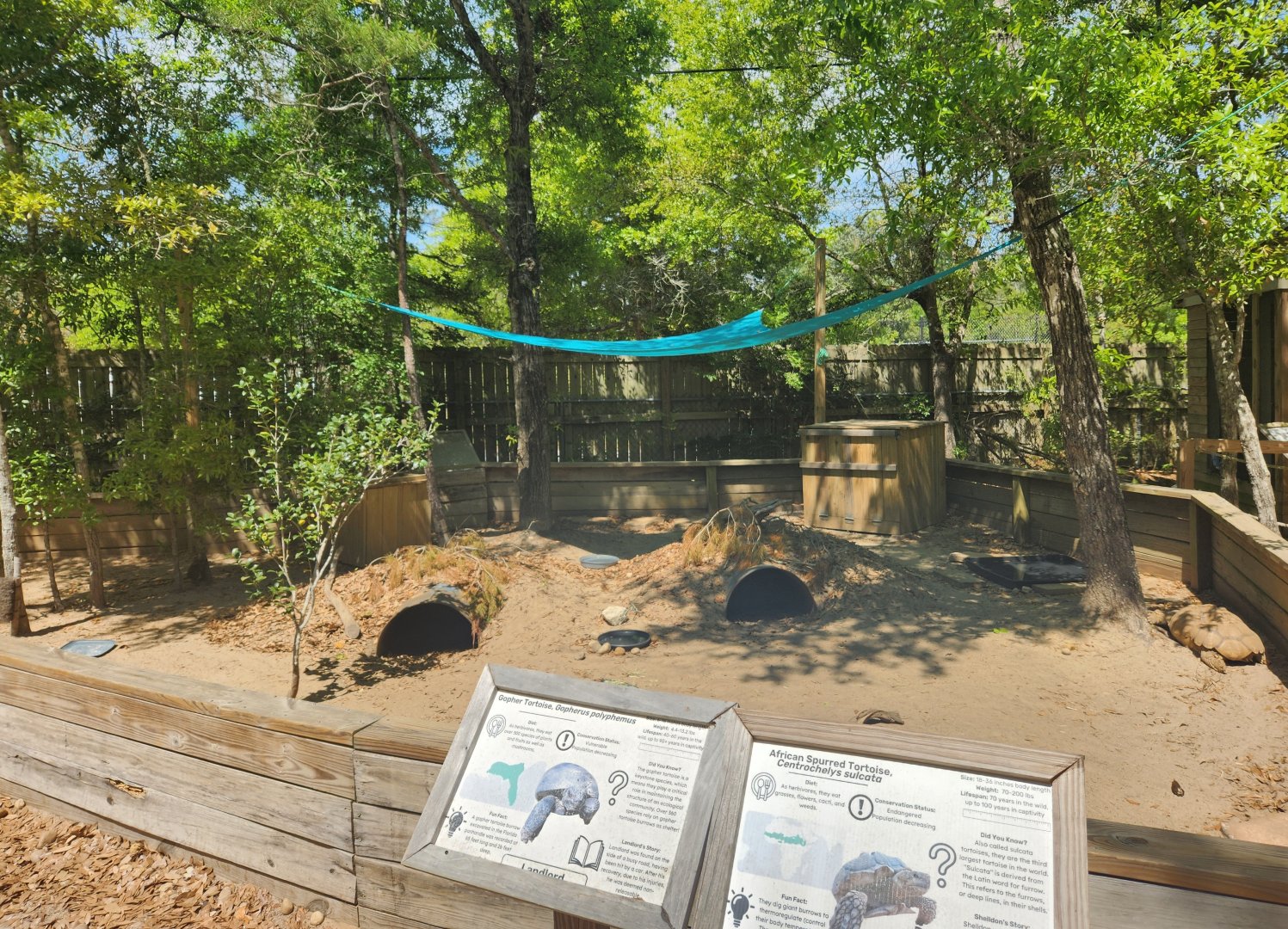 Emerald Coast Wildlife Refuge - Tortoise yard