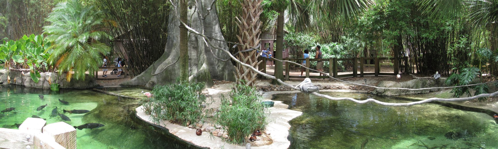 Emerald Forest Aviary Interior