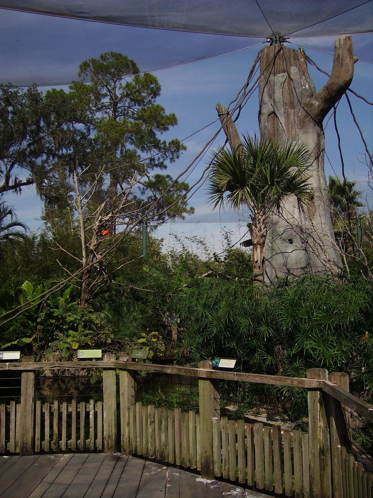 Emerald Forest Aviary - Range of the Jaguar