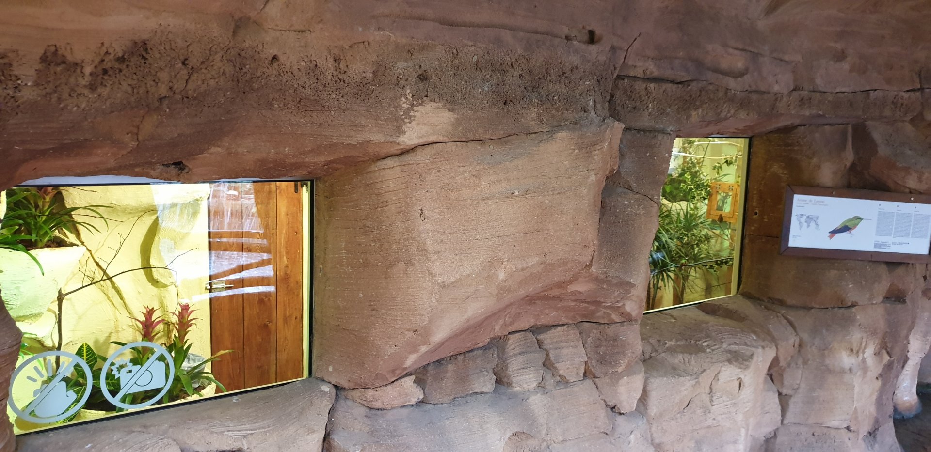 Emerald hummingbird enclosures