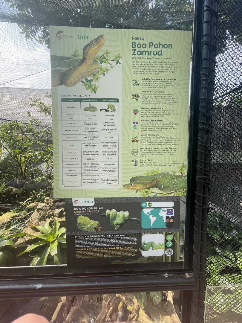 emerald tree boa signage - museum komodo