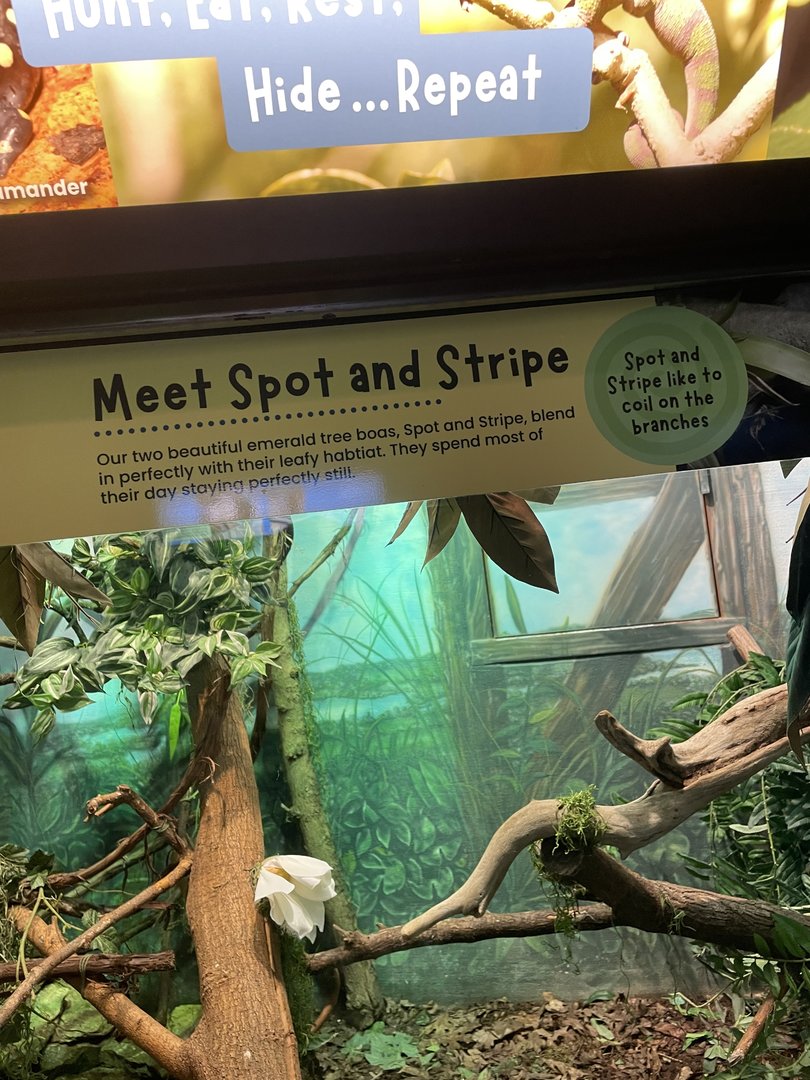 Emerald Tree Boa Signage
