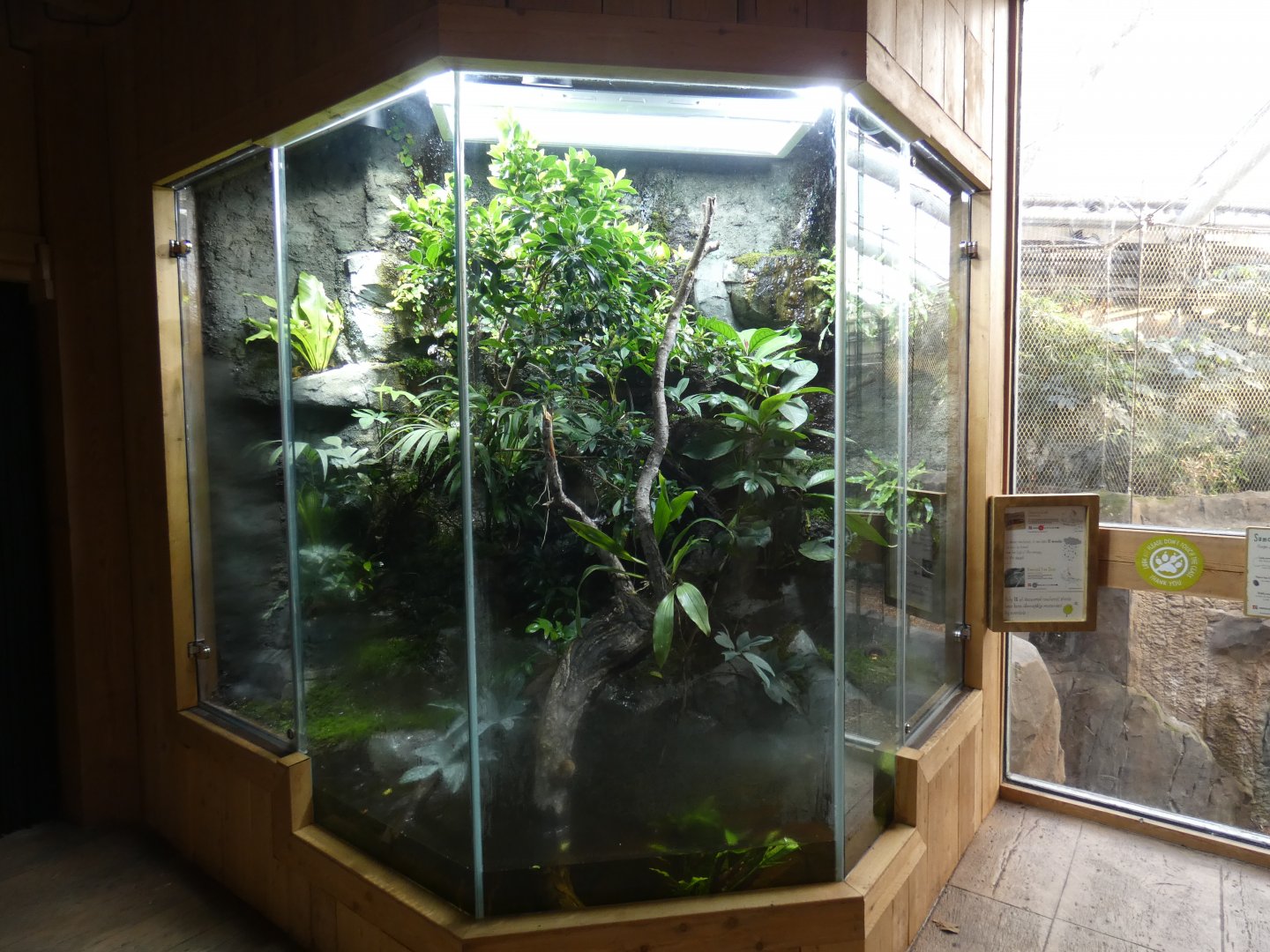 Emerald Tree Skink and Vampire Crab exhibit