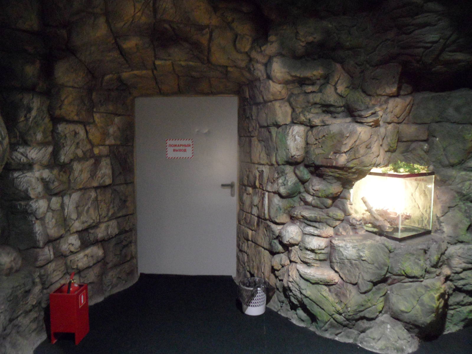 Emergency exit, example of wall design and built-in terrarium