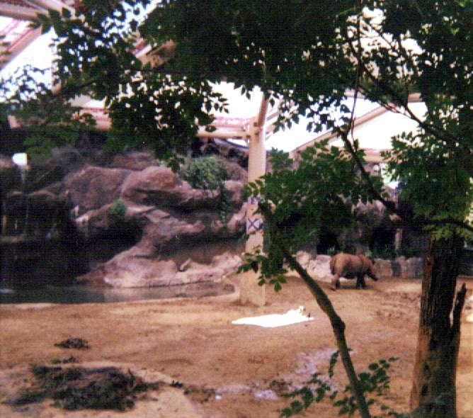 Emi ~ Wildlife Canyon