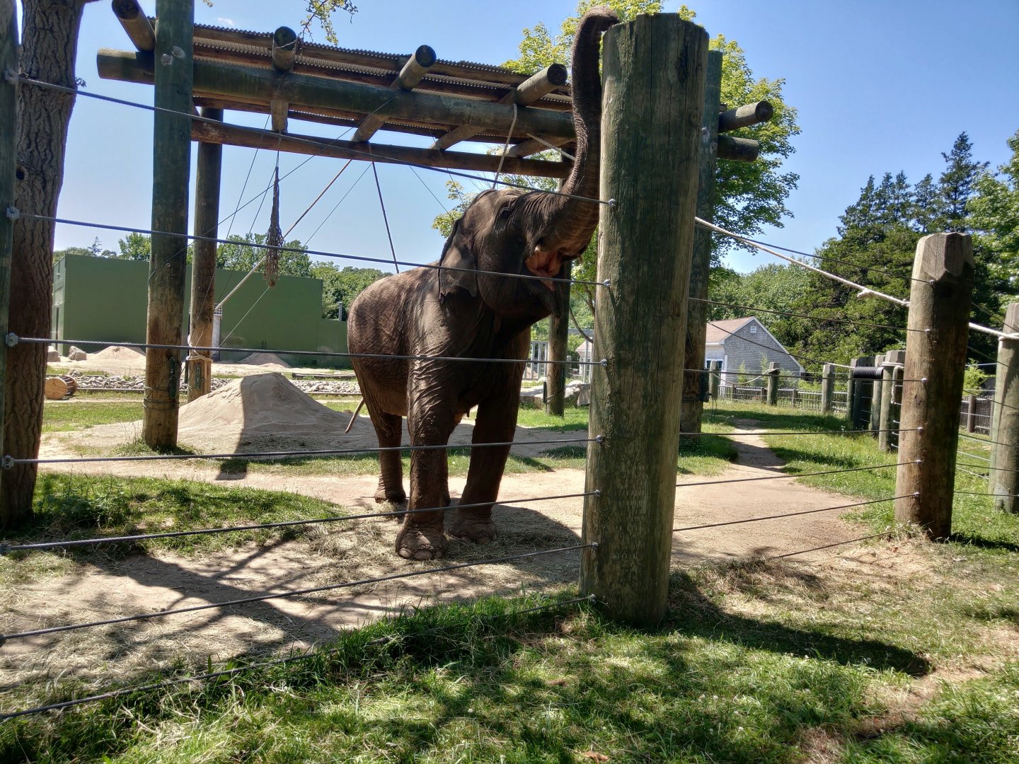 Emily grabbing for an ice treat