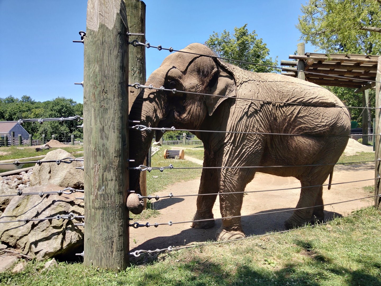 Emily testing her barriers