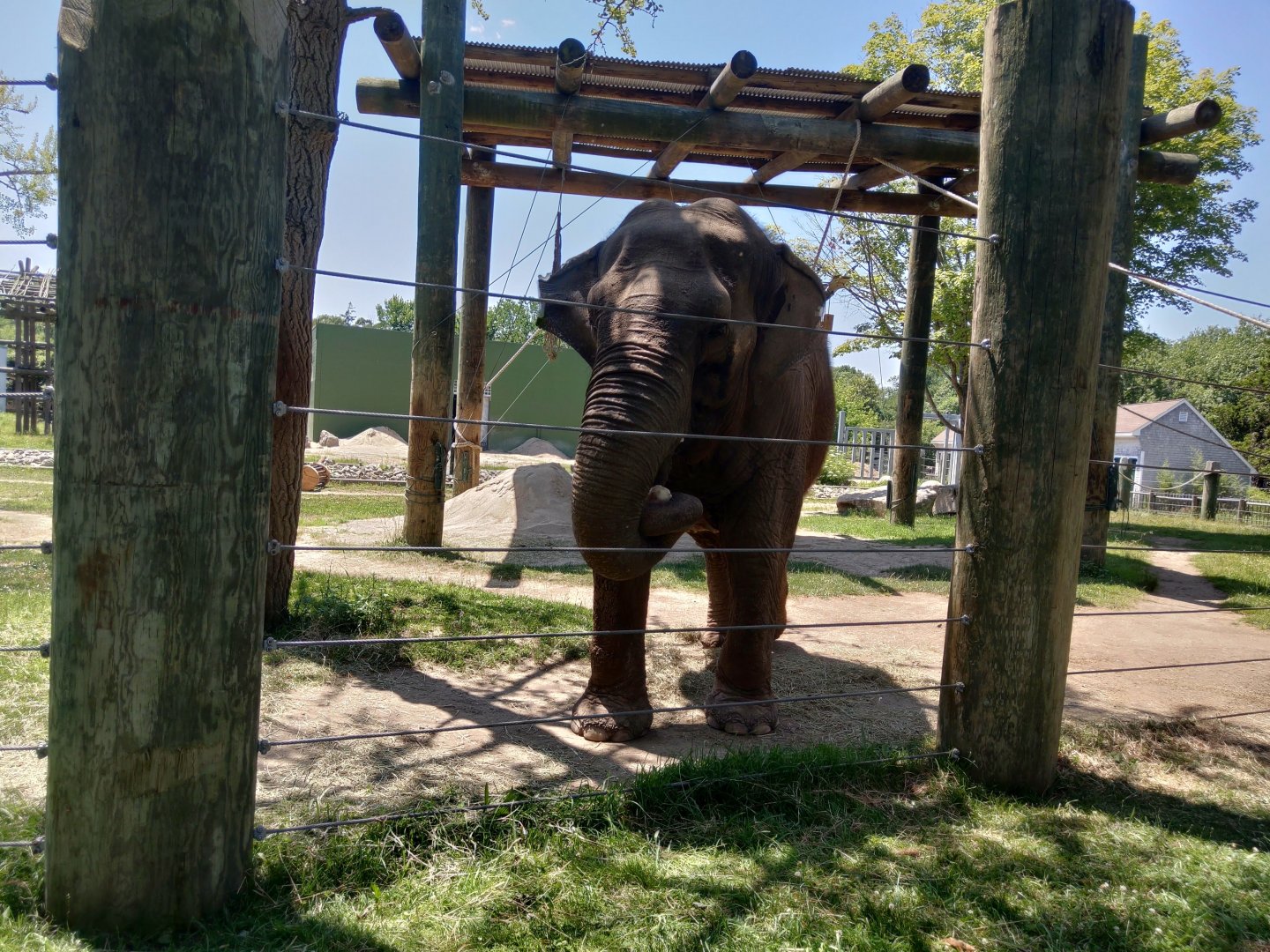 Emily with her ice treat