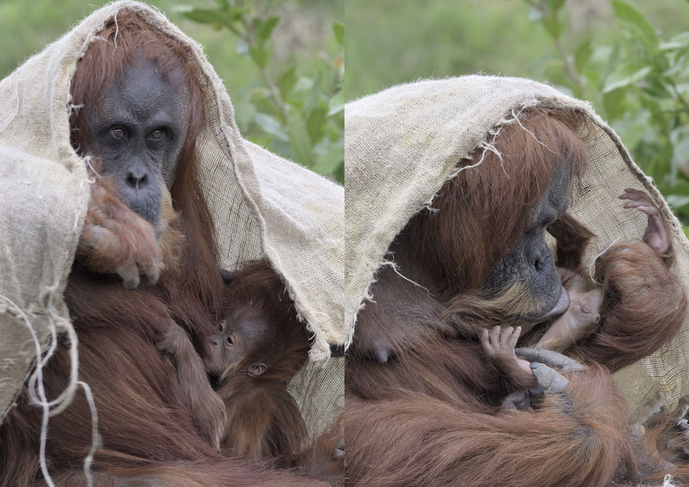 Emma & her baby 5th July 2021