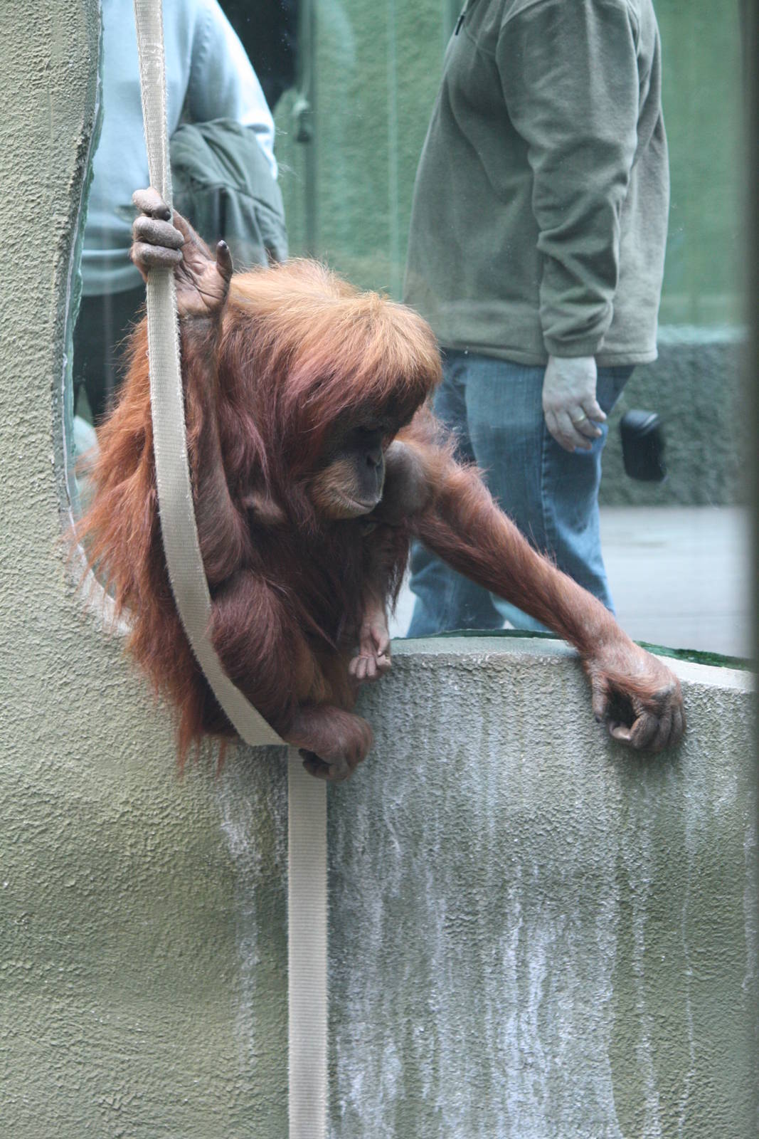 Emma or Subis 22 Nov 2009