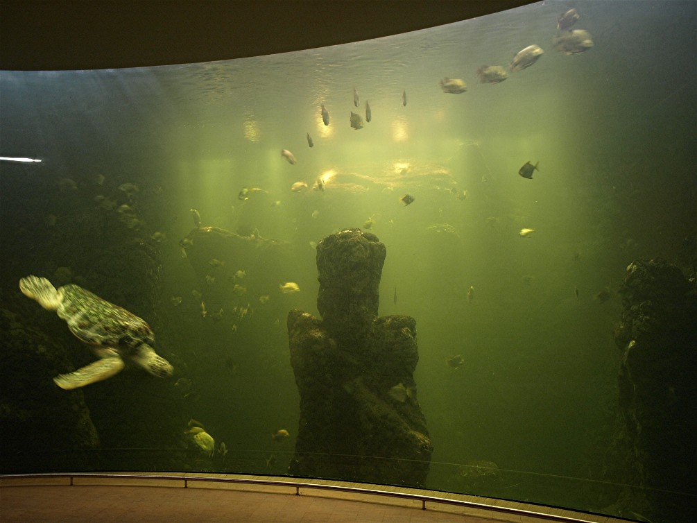 Emmen Zoo - Aquarium