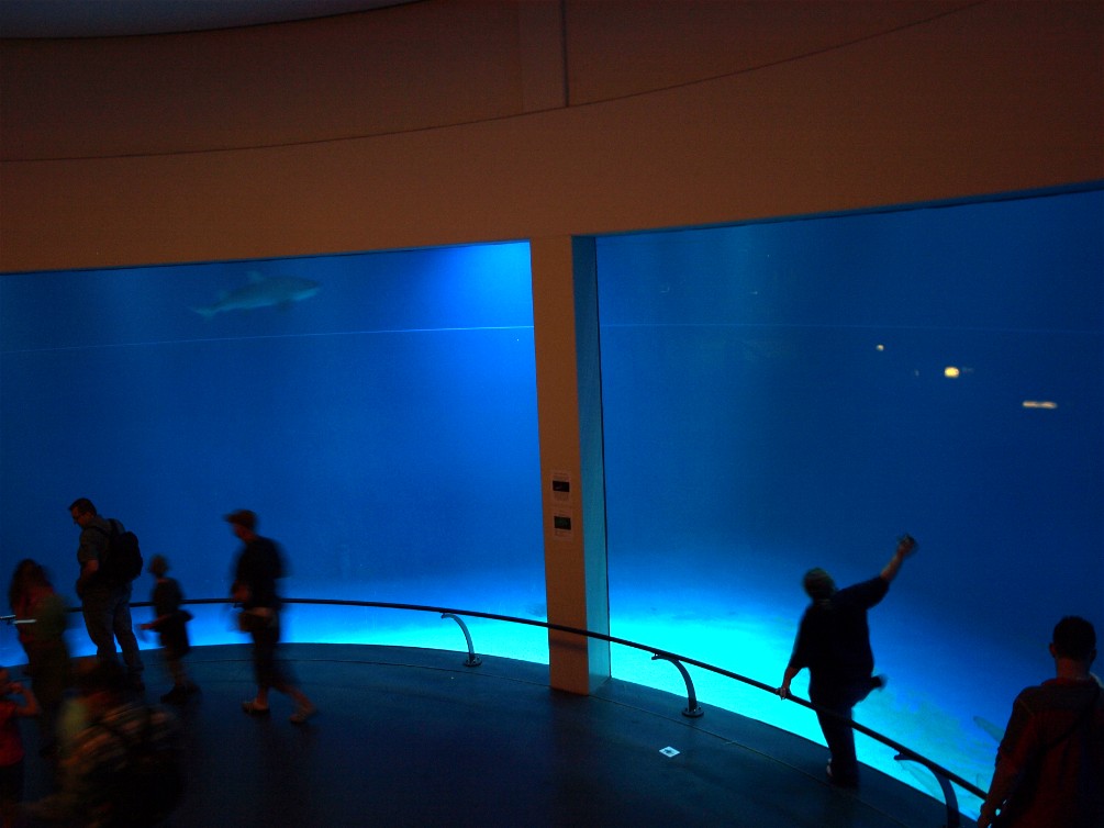 Emmen Zoo - Biochron