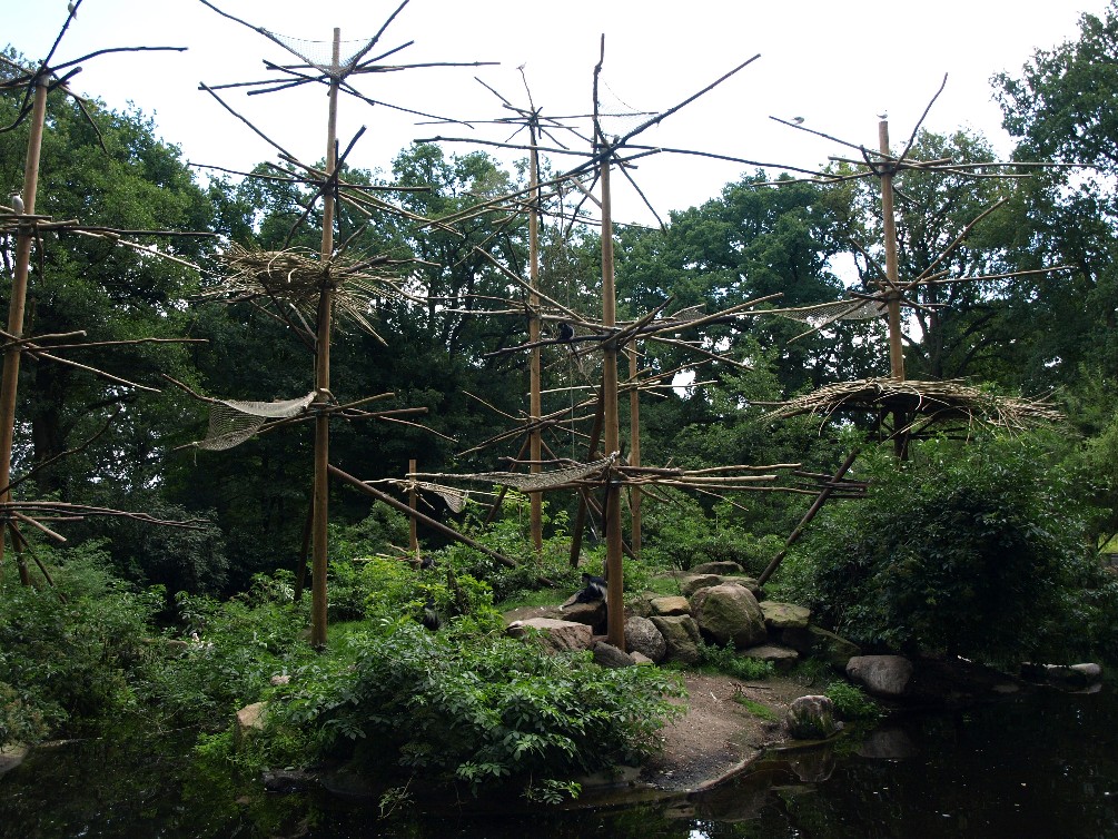 Emmen Zoo - Colobus monkey island