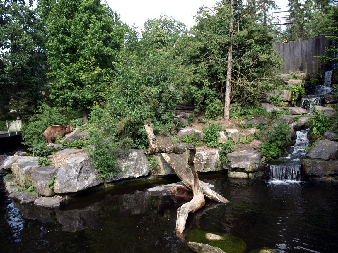 Emmen Zoo - Kodiak bear exhibit