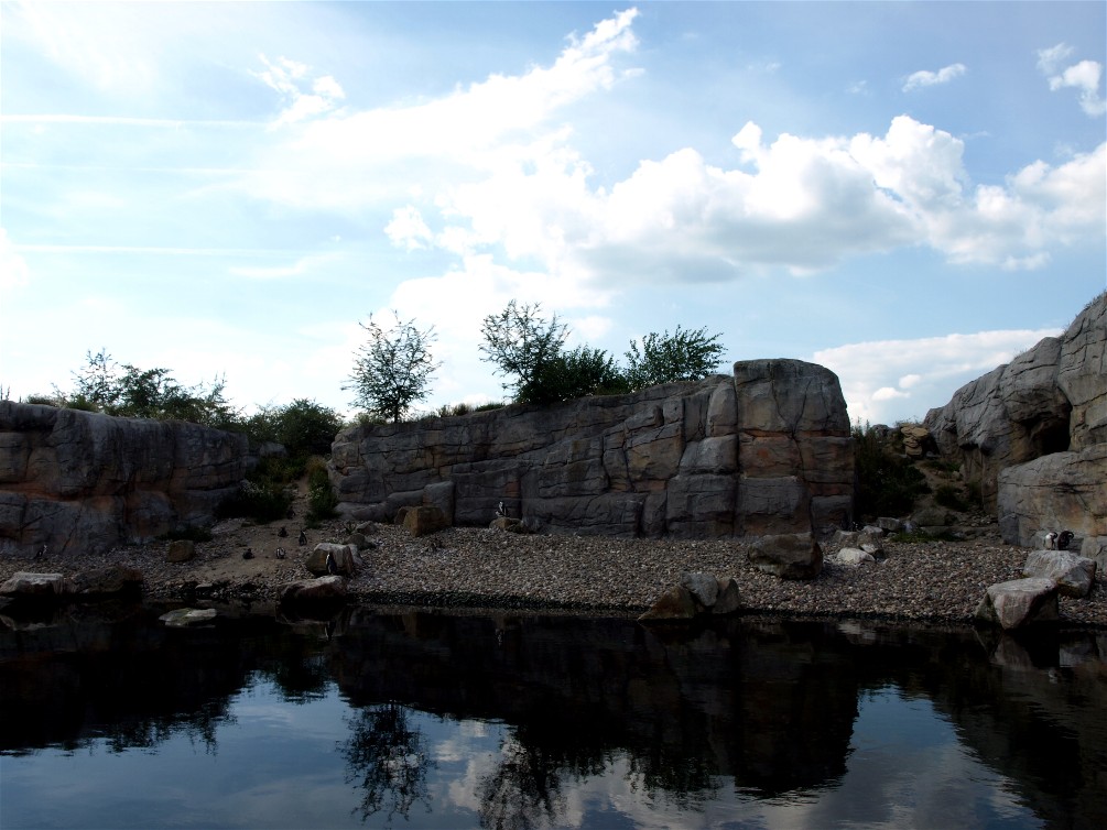 Emmen Zoo - Playa Pengüinos