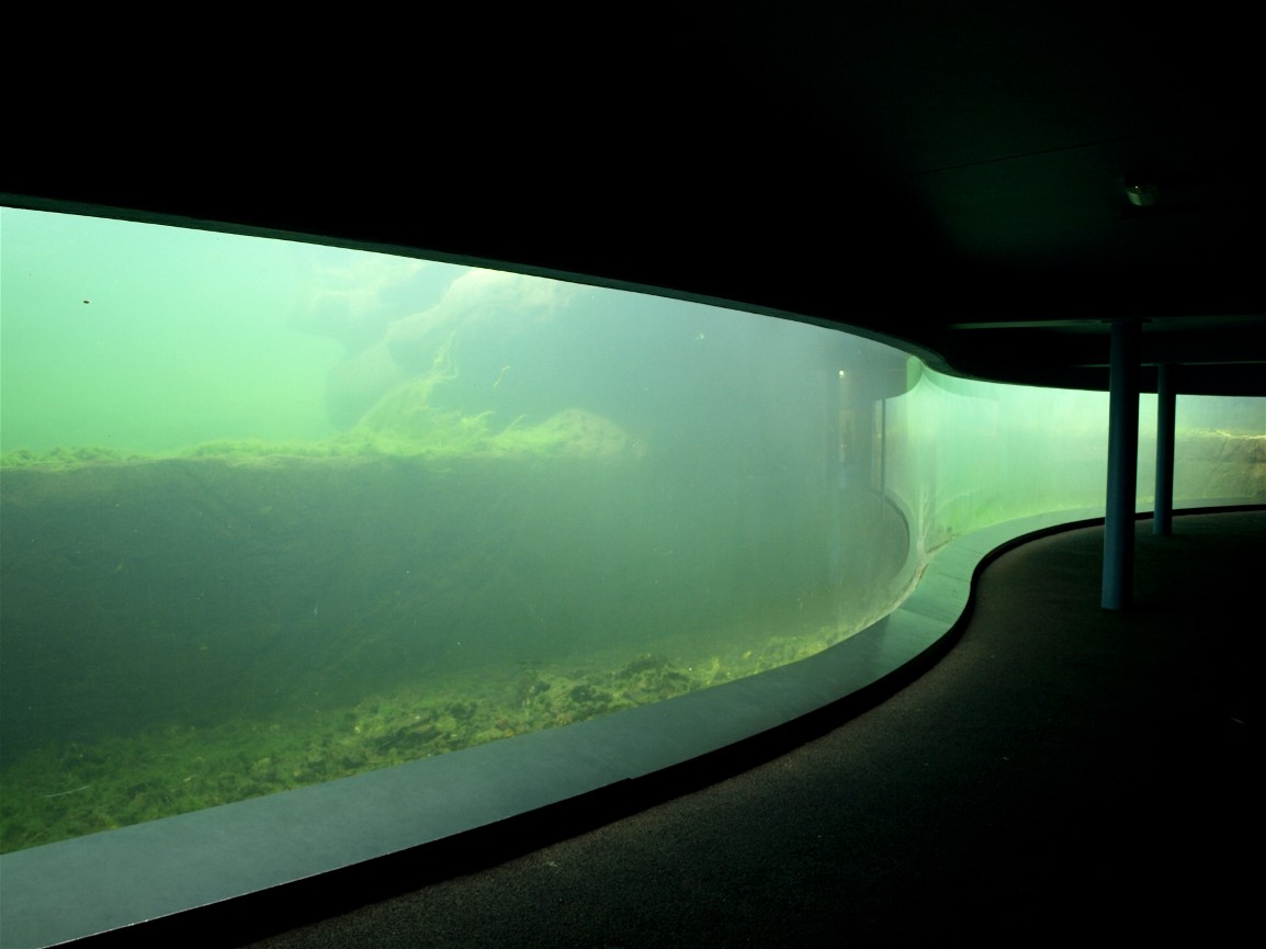 Emmen Zoo - Playa Pengüinos