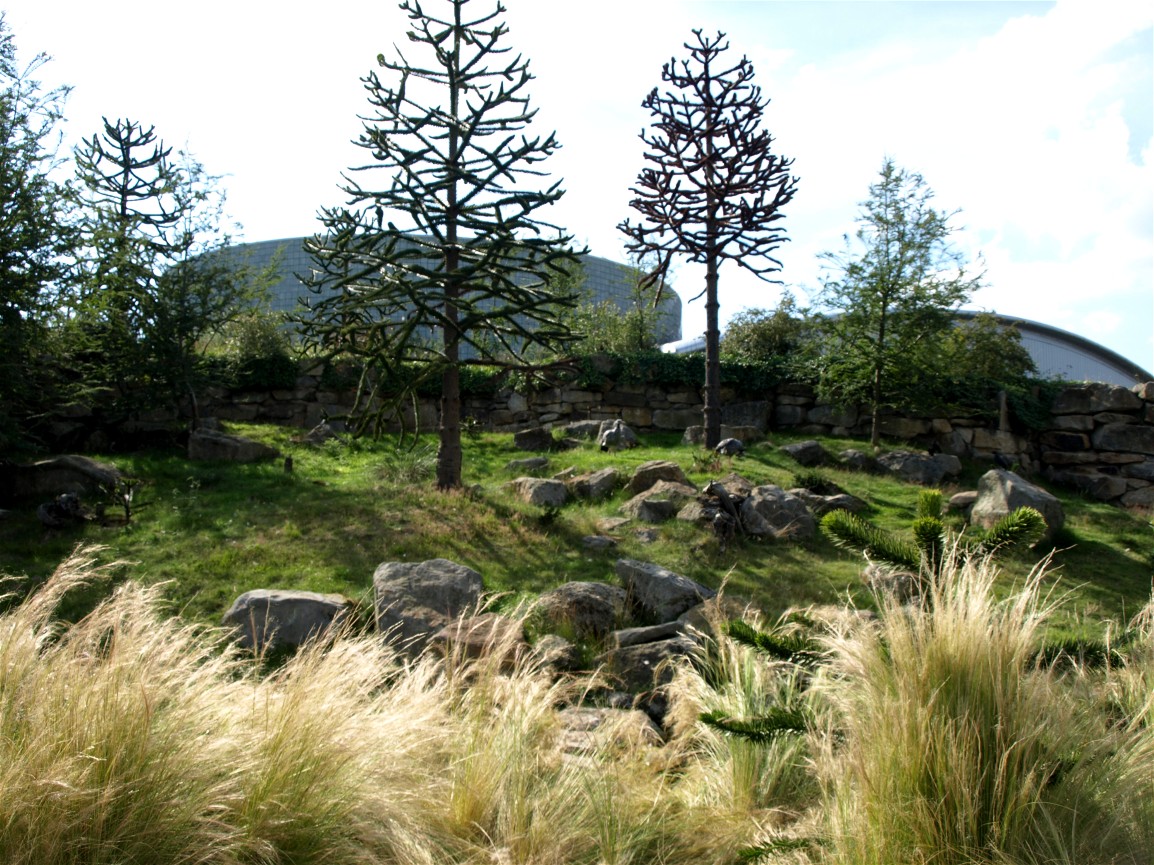 Emmen Zoo - Pudu exhibit