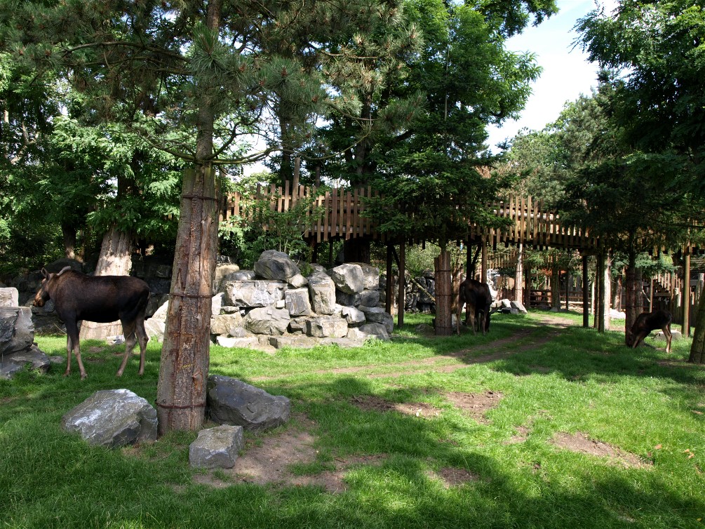 Emmen Zoo - Wild West