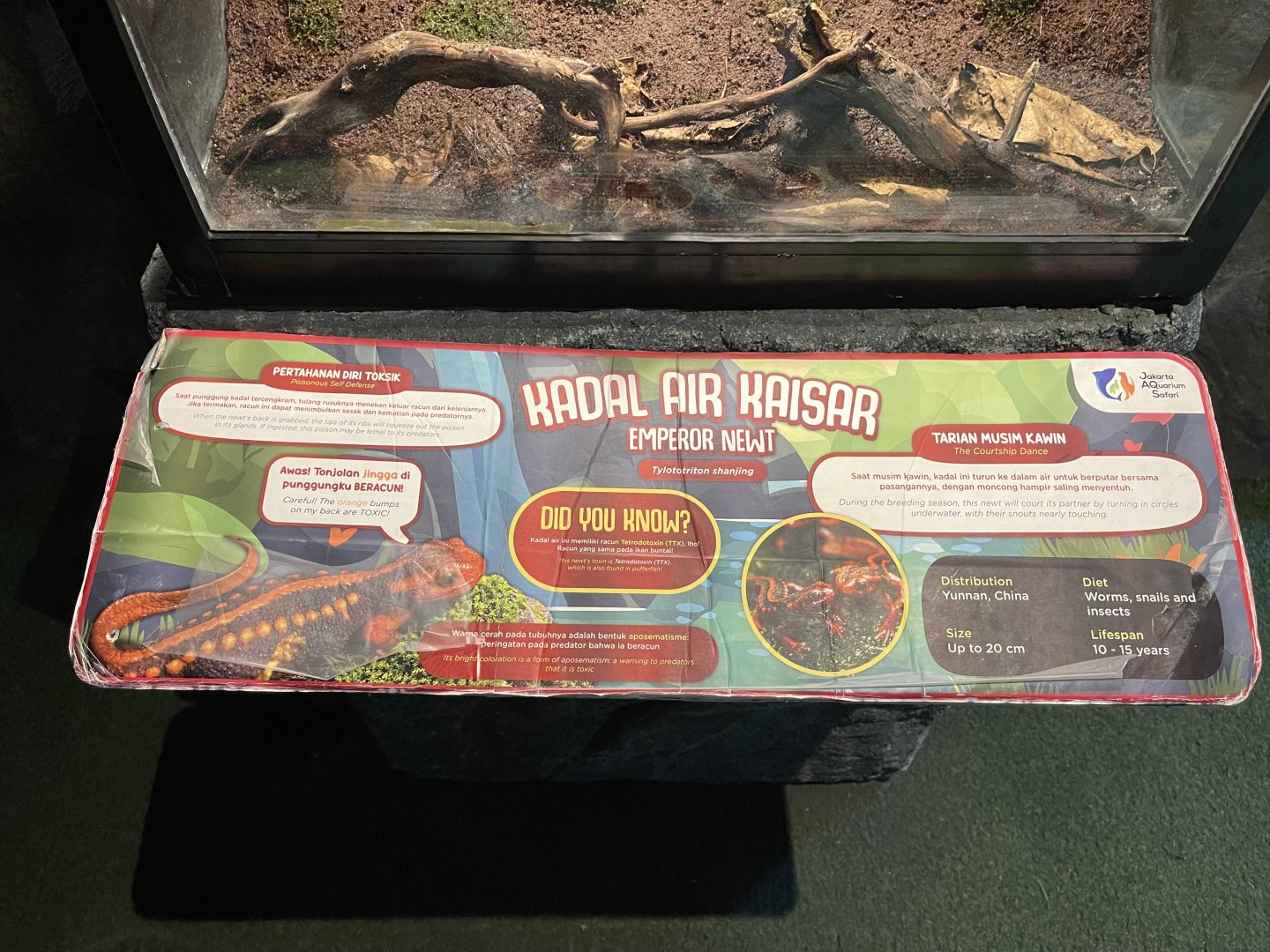 emperor newt signage (mislabelled/inaccurate)