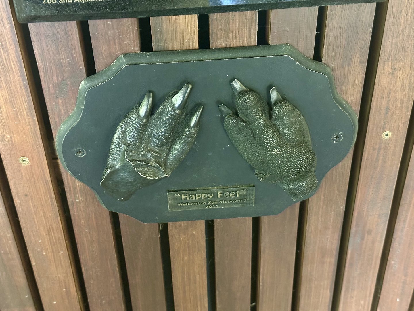 Emperor Penguin Foot Cast