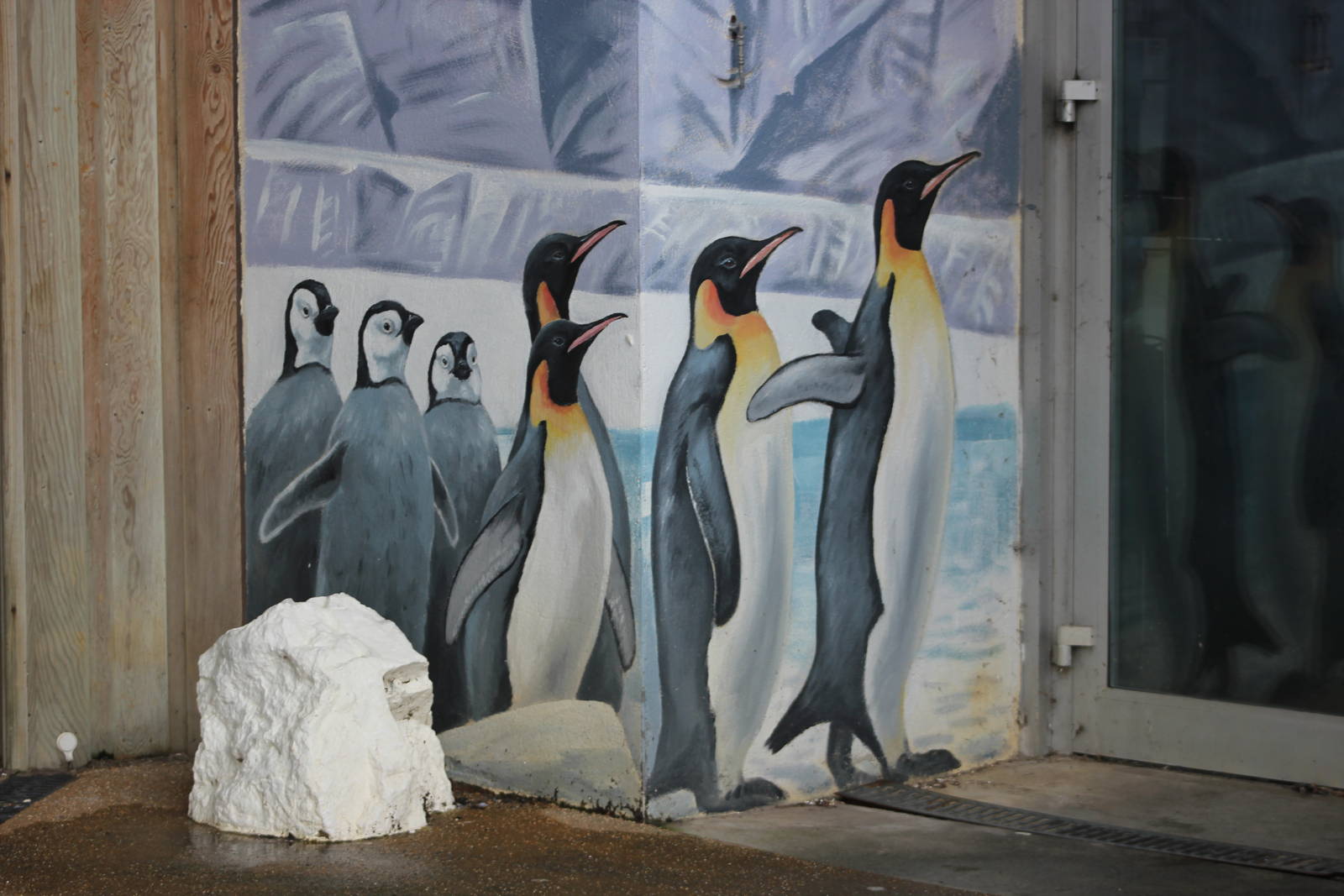 Emperor penguin graphic