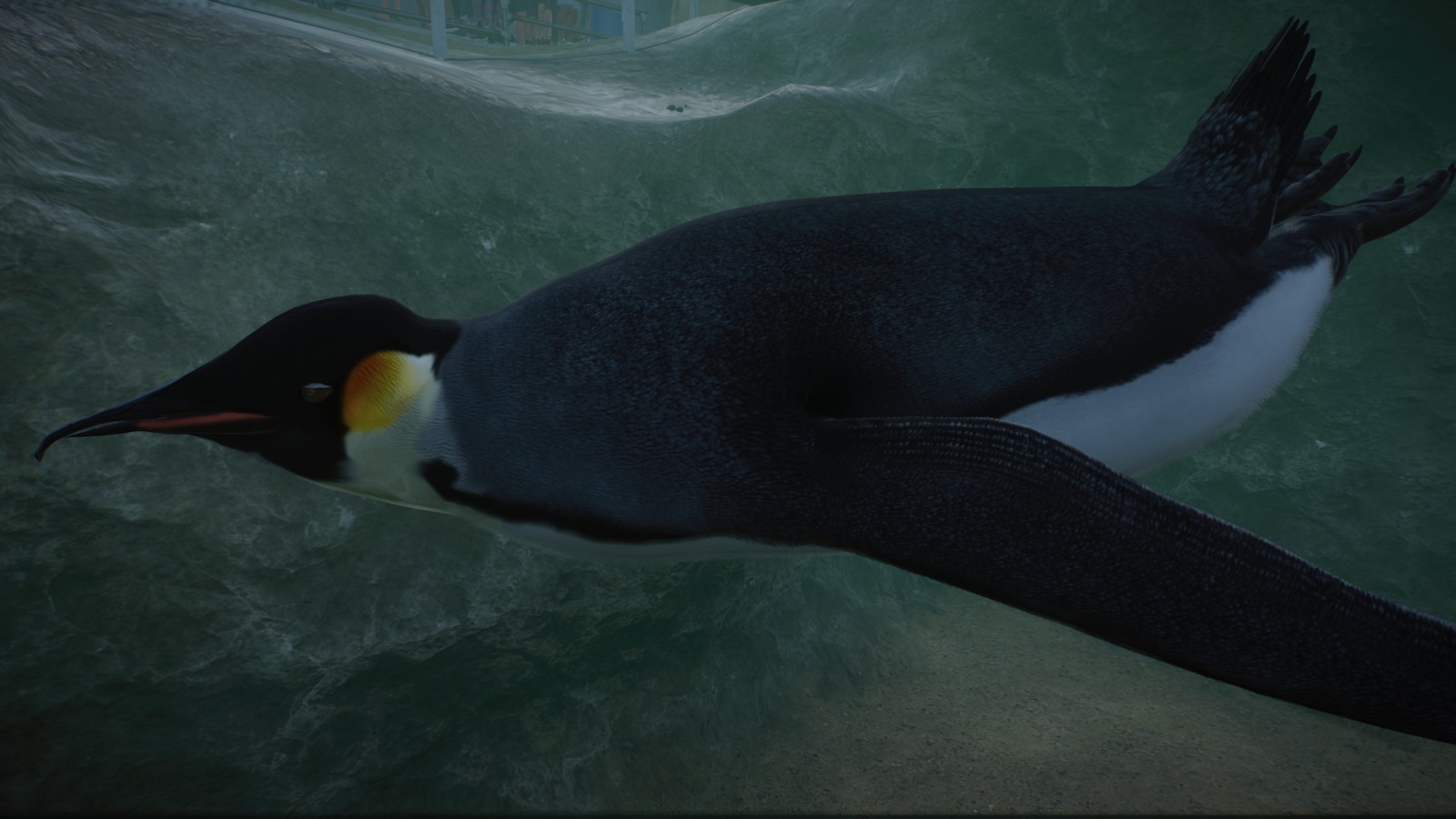 Emperor Penguin