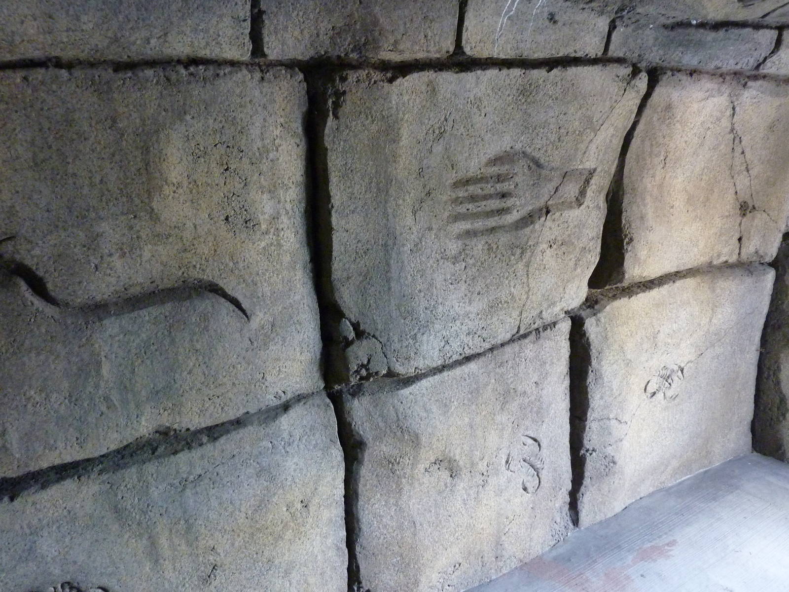 Emperor Scorpion Exhibit - Cave Art