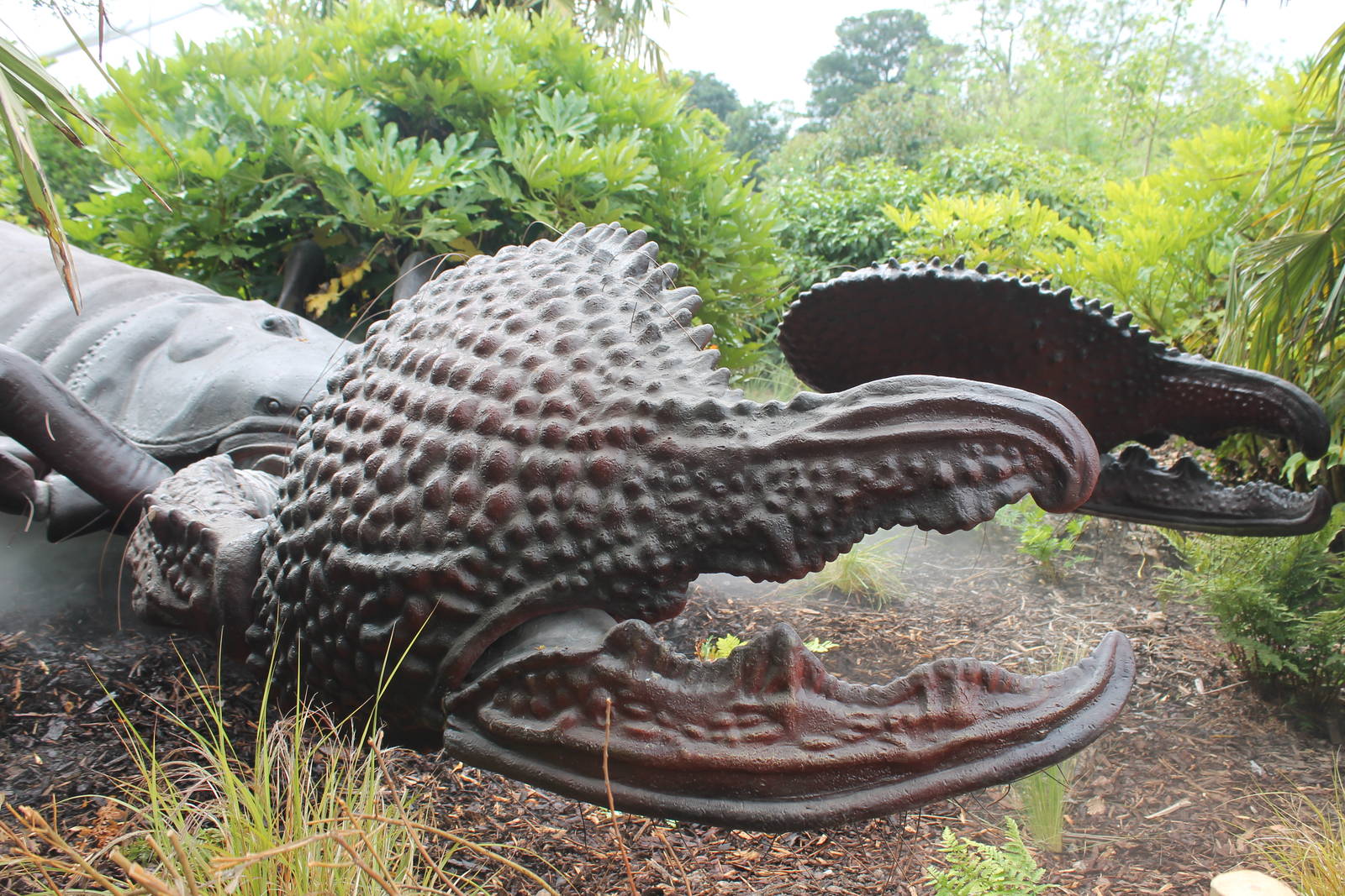 Emperor Scorpion pincers Bugs Chester Zoo 2013