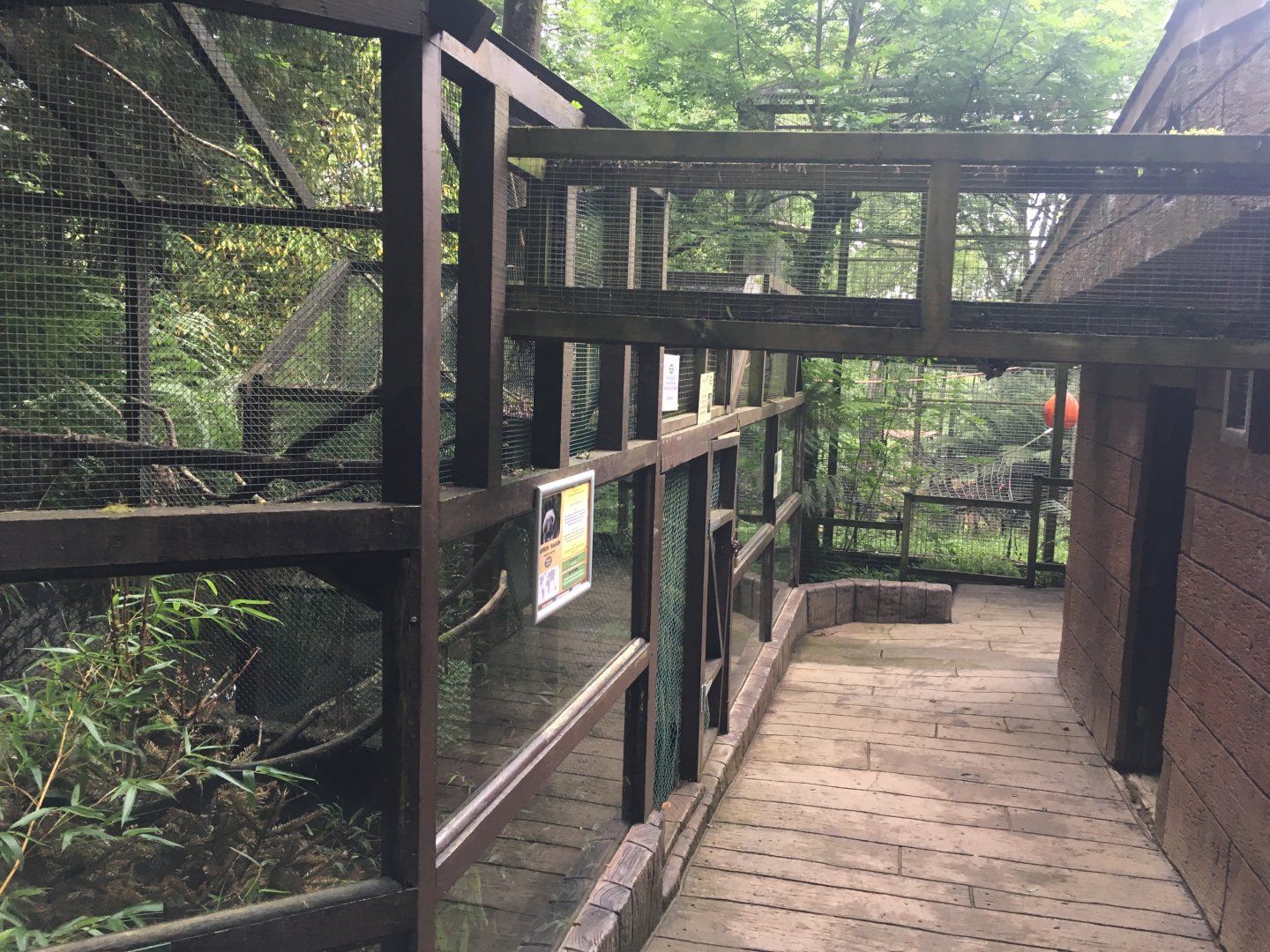 Emperor tamarin enclosure 300617