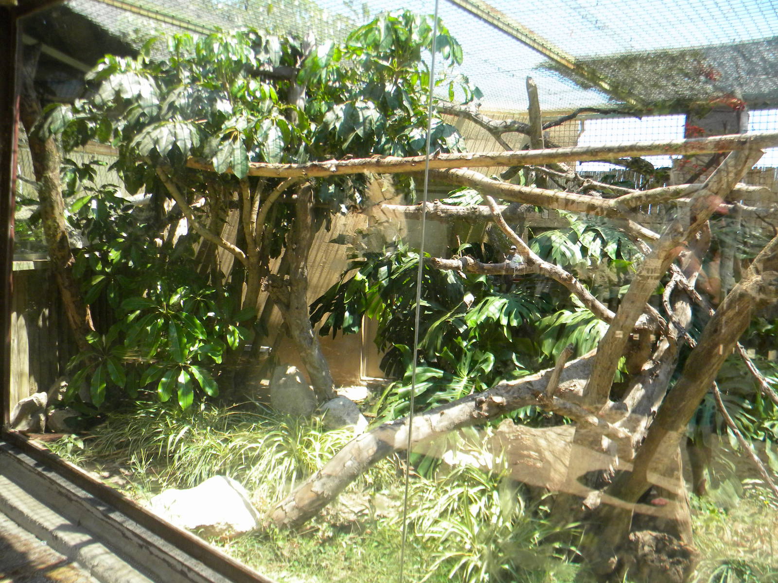 Emperor Tamarin enclosure at Terra Natura 29/07/11