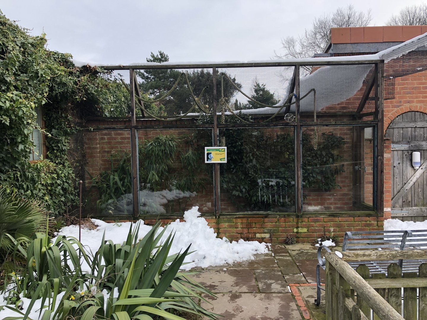 Emperor Tamarin Enclosure at Tropical Butterfly House (March 2023)