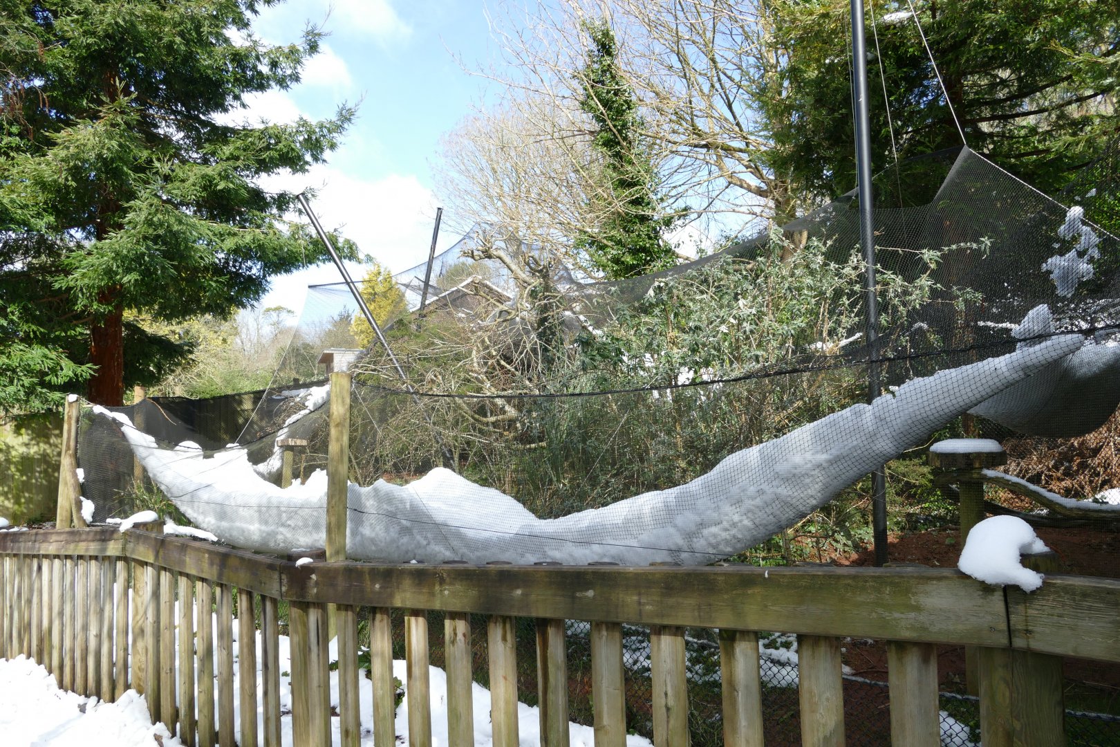 Emperor Tamarin enclosure, March 2018