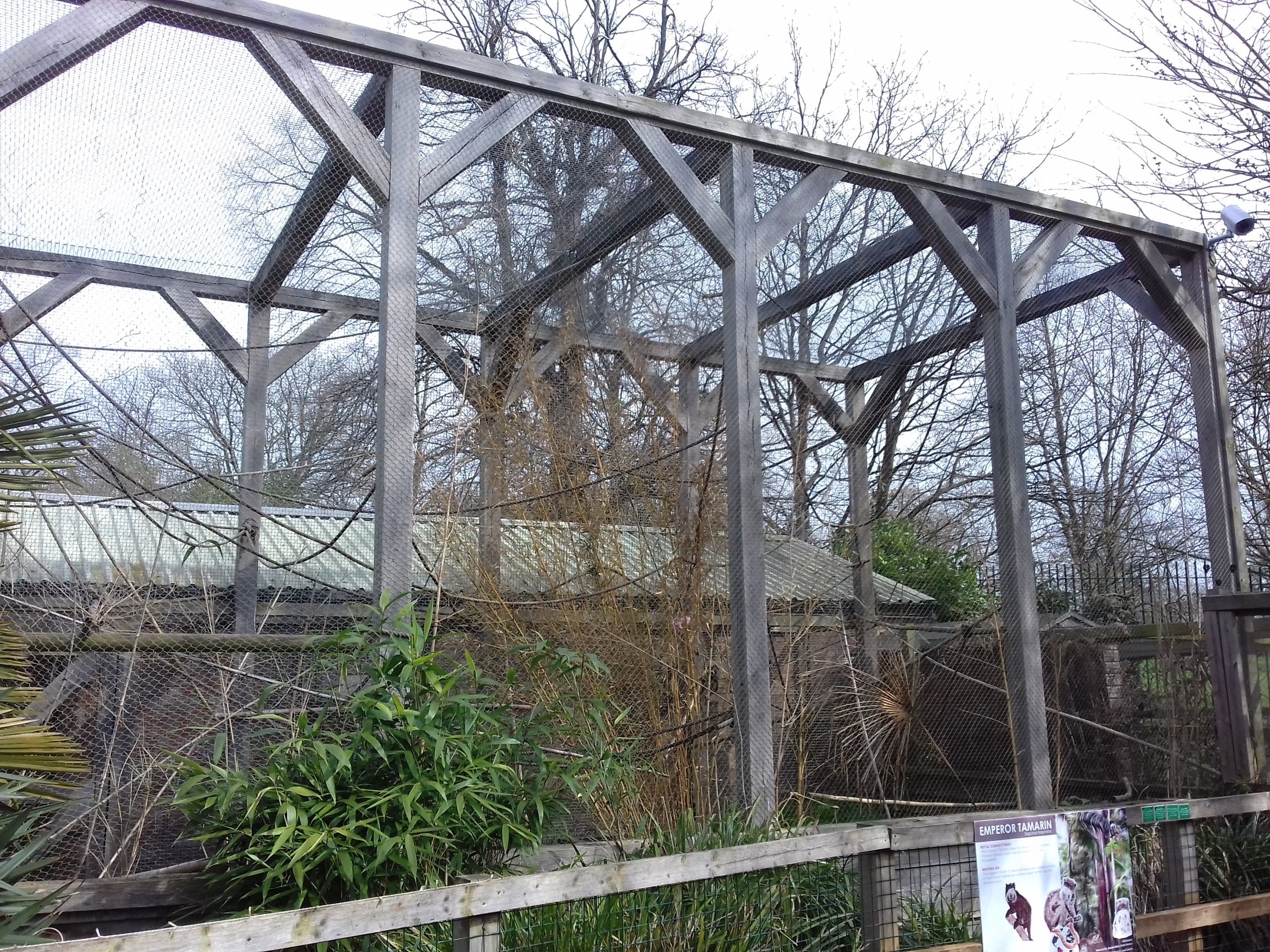 Emperor tamarin enclosure