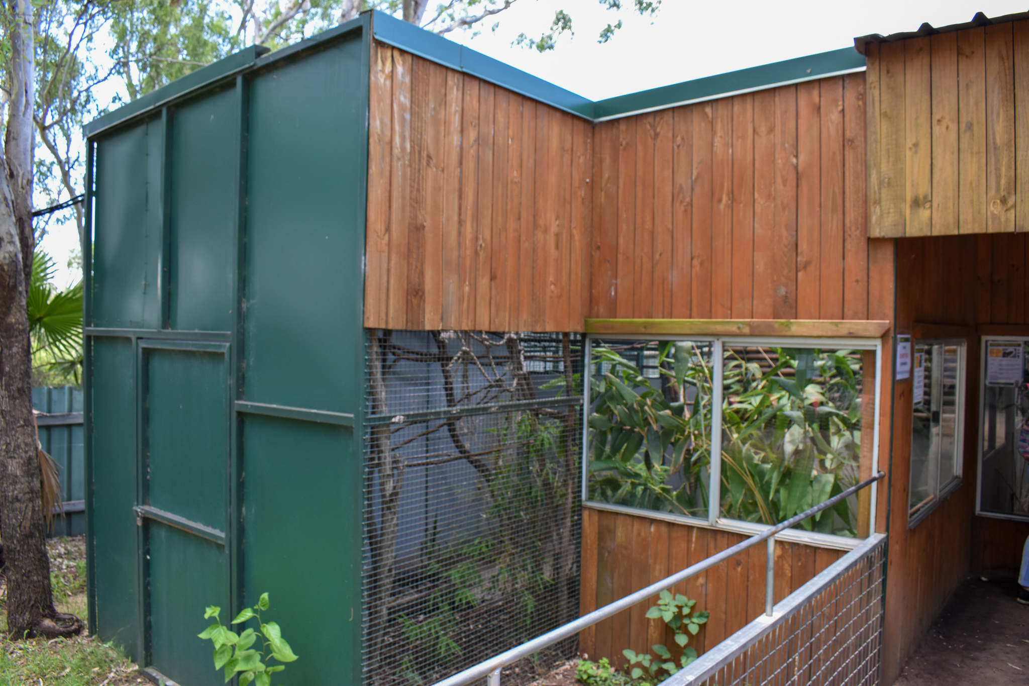 Emperor Tamarin Enclosure